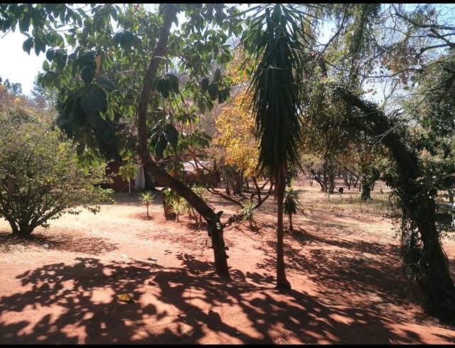 17HA FARM FOR SALE IN BOSCHFONTEIN AH